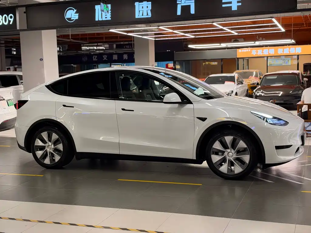Tesla Model Y — миниатюра 3