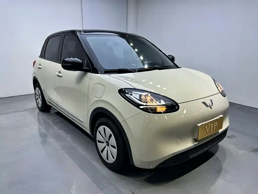 Wuling Binguo 2023 203km
