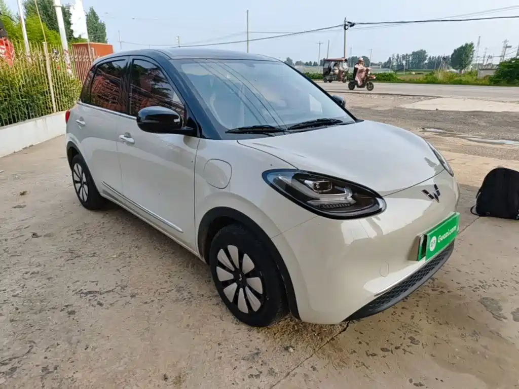 Wuling Binguo 2024 333km Enjoy