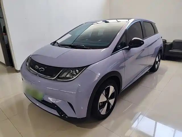 2023 BYD Dolphin