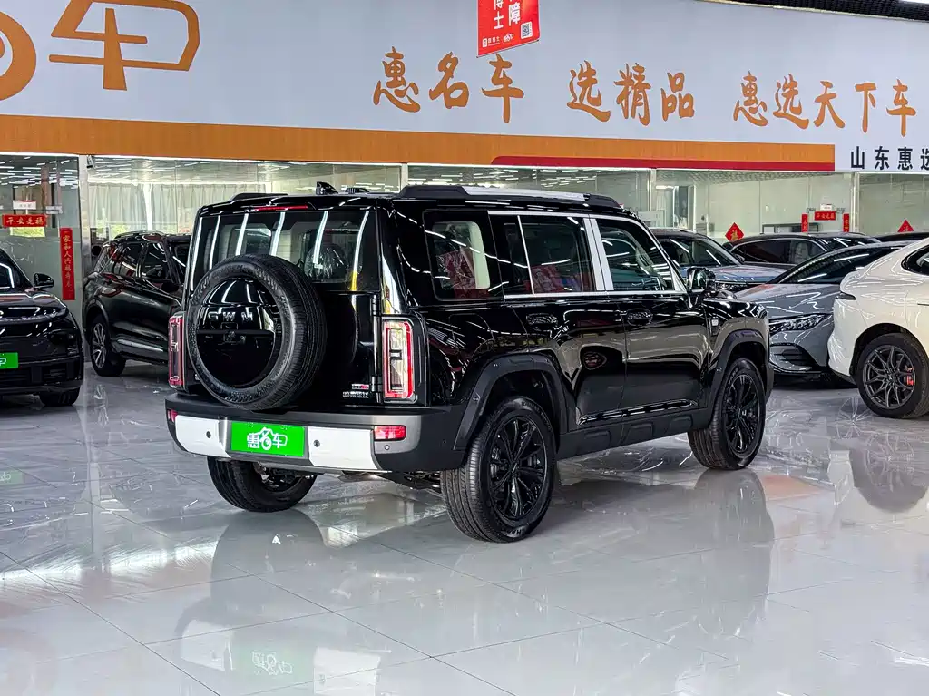 Haval Menglong New Energy — миниатюра 22