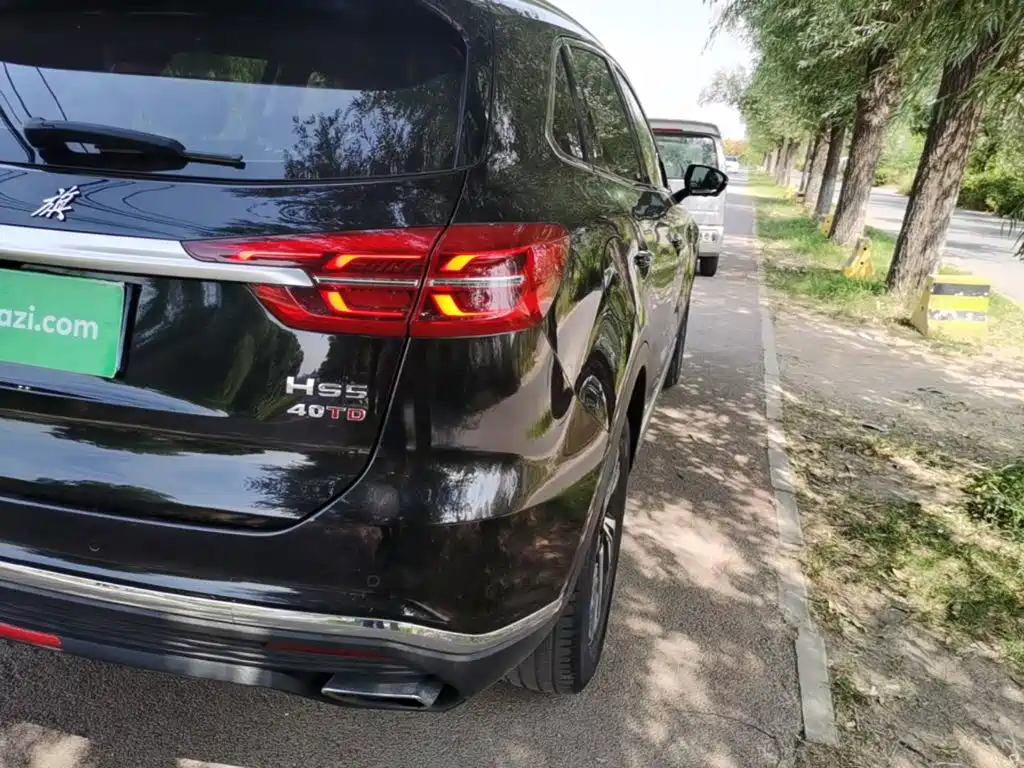 Hongqi Hongqi HS5 — миниатюра 8
