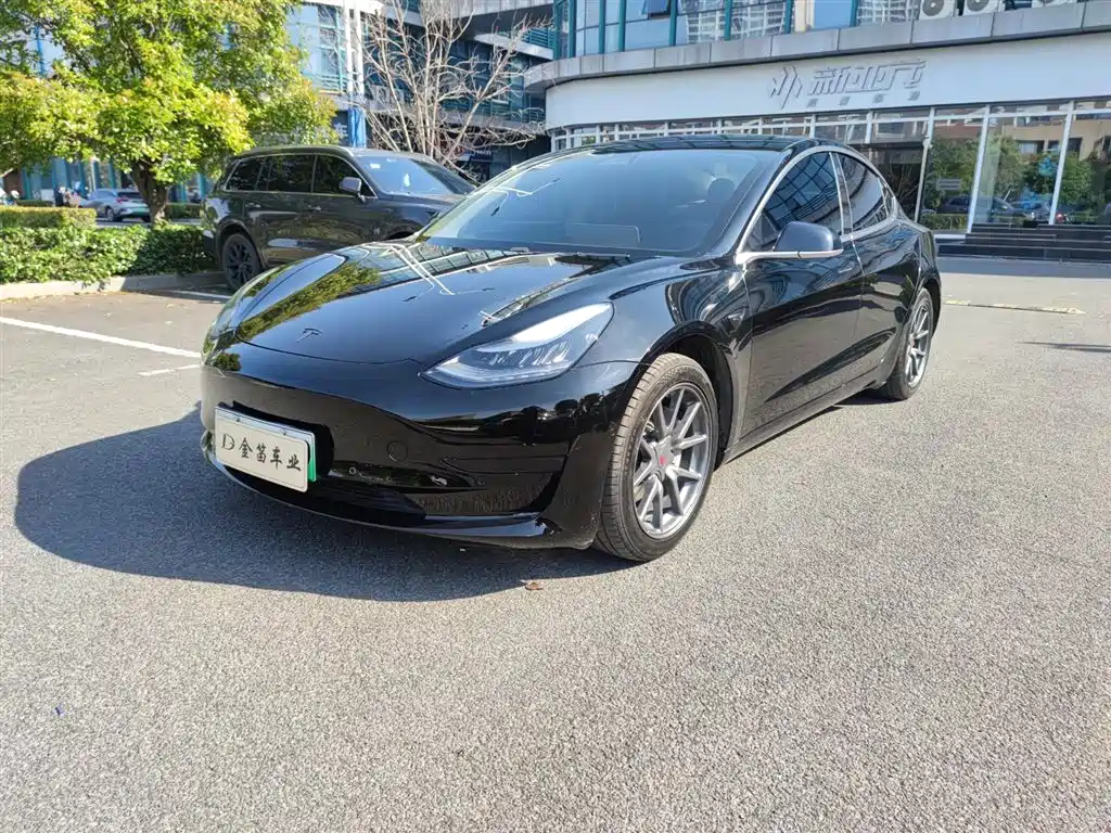 Tesla Model 3 2020