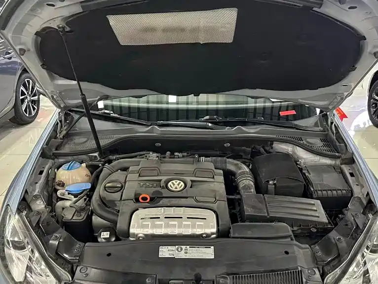 Volkswagen Golf (Import) 1.4TSI Luxury Convertible Edition, фото 9