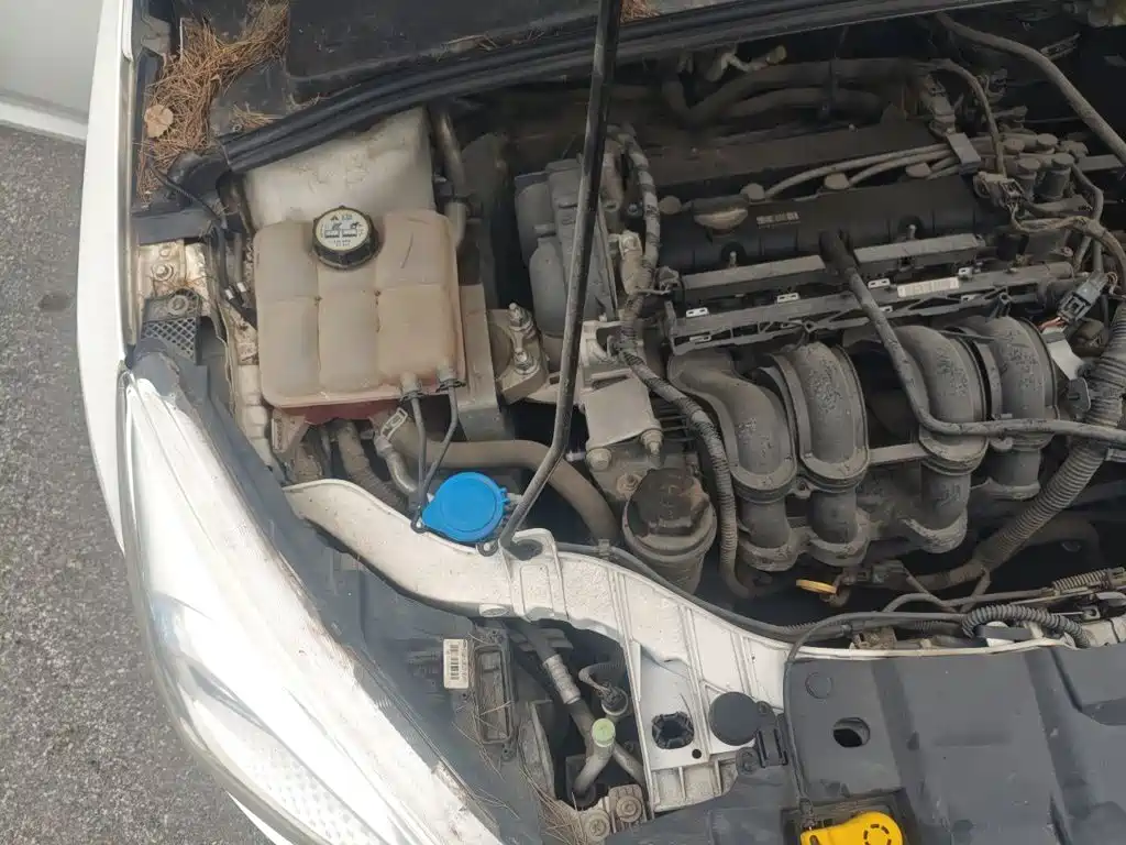 Ford Focus — миниатюра 20