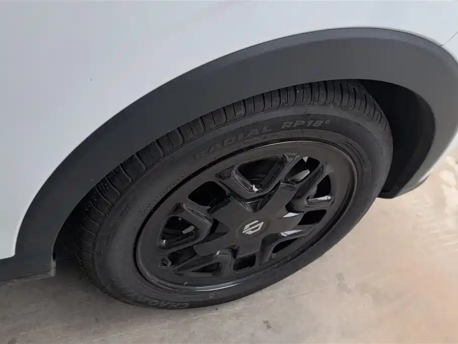 Leapmotor T03 2025 310