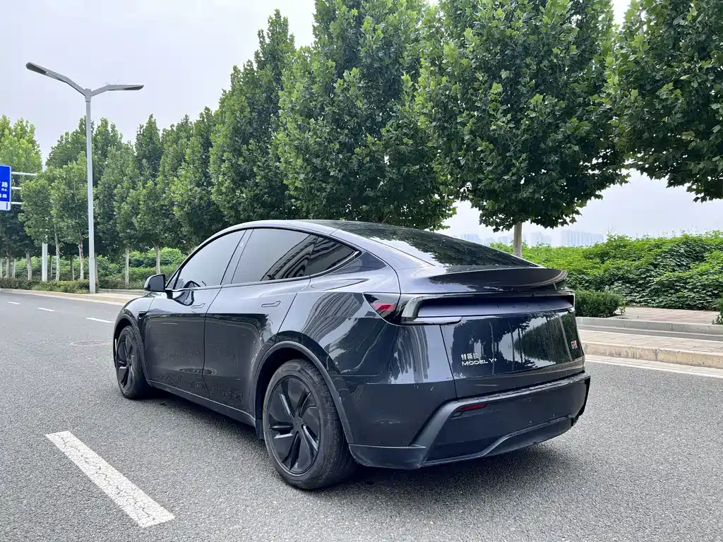 Tesla Model Y — миниатюра 12