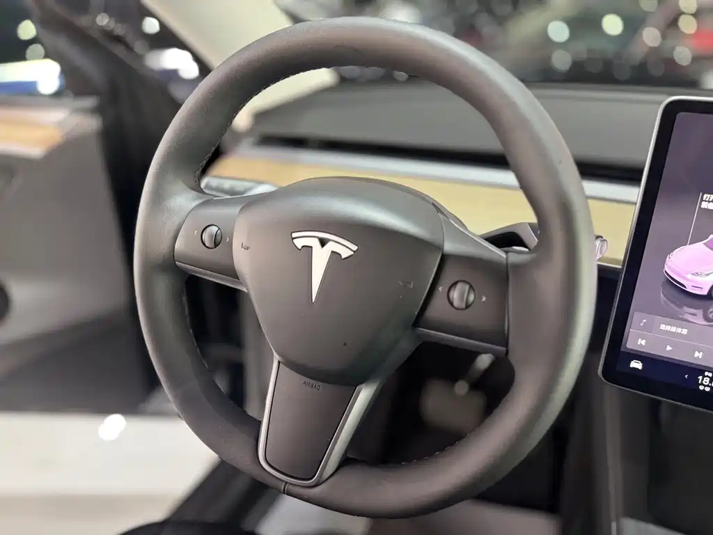 Tesla Model Y — миниатюра 11