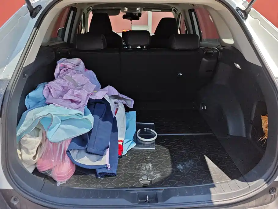 Toyota RAV4 2024 2.0L CVT
