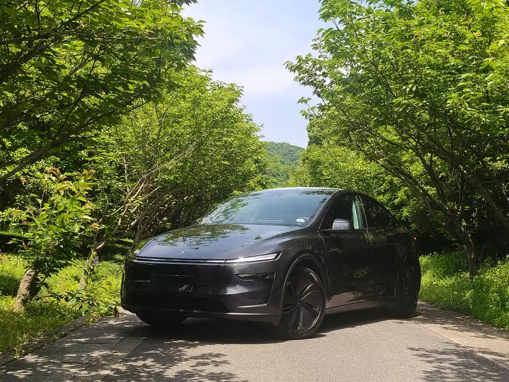 Tesla Model Y 2025
