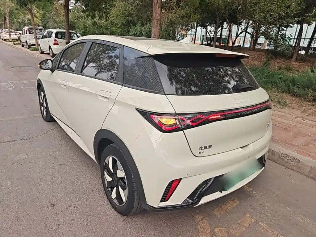 BYD Dolphin — миниатюра 5