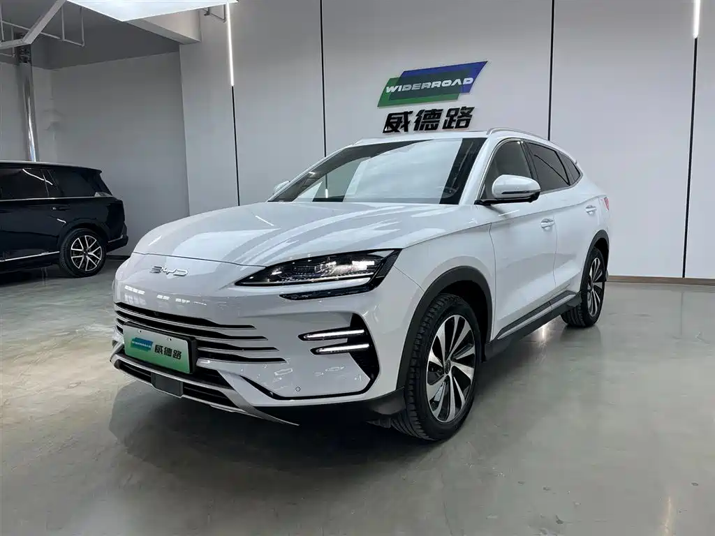 BYD SONGJIANG NEW ENERGY