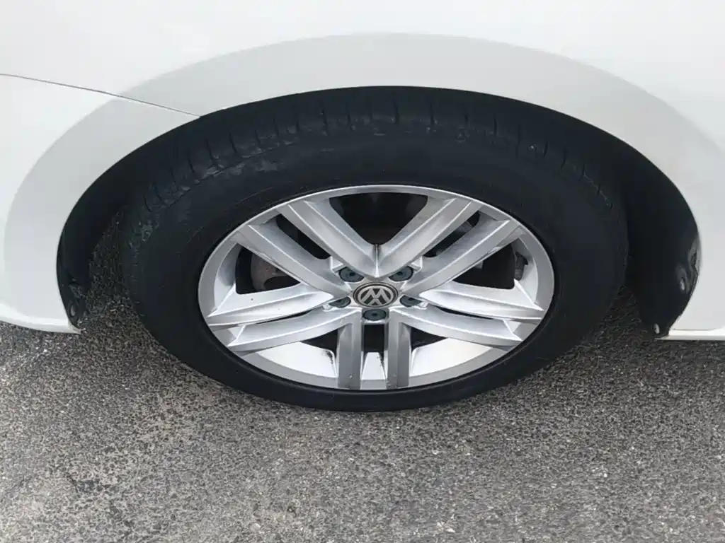 Volkswagen Gran Lavida — миниатюра 23