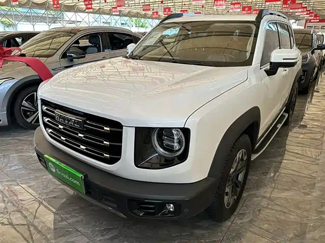 HAVAL BIG DOG