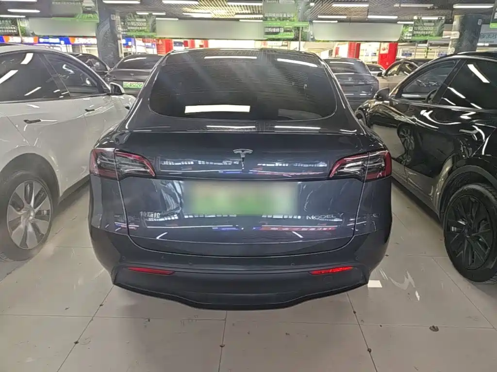 Tesla Model Y — миниатюра 6