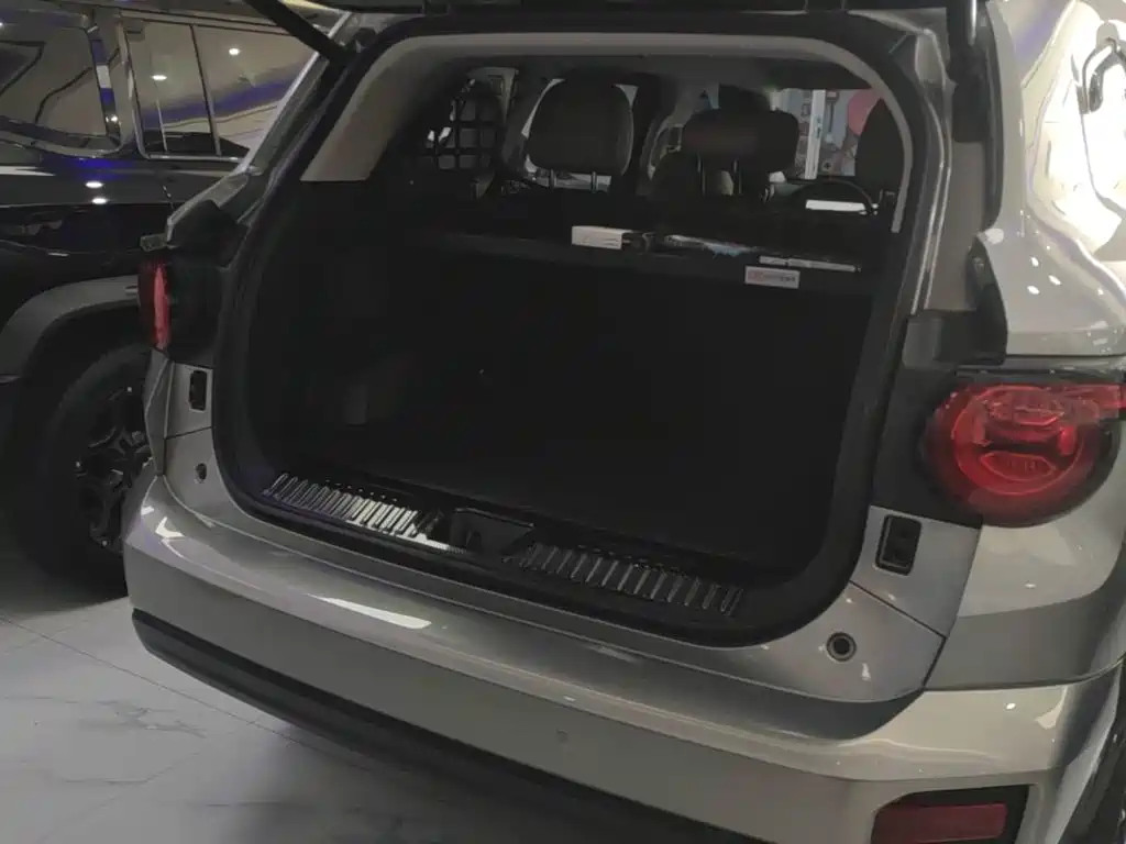 Haval Big Dog PLUS New Energy — миниатюра 19