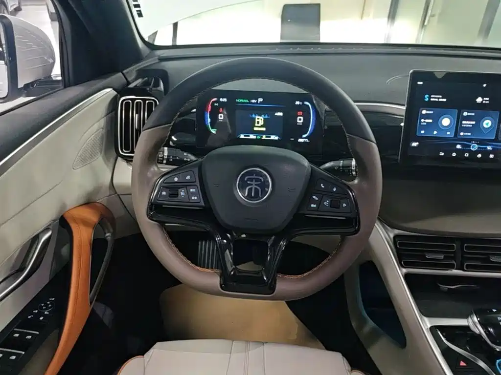 BYD Pro New Energy — миниатюра 11