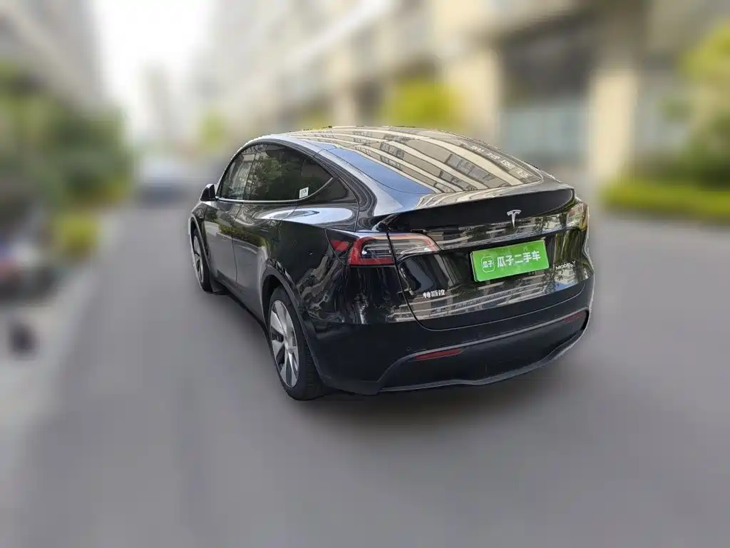 Tesla Model Y — миниатюра 4