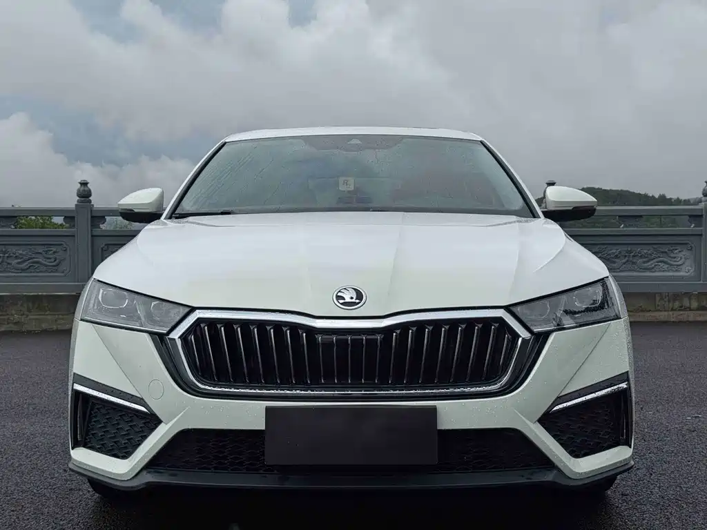 Skoda Octavia — миниатюра 2