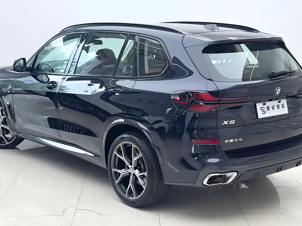BMW X5 — миниатюра 7