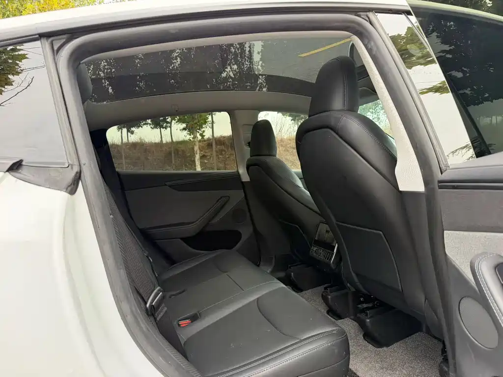 Tesla Model Y — миниатюра 5