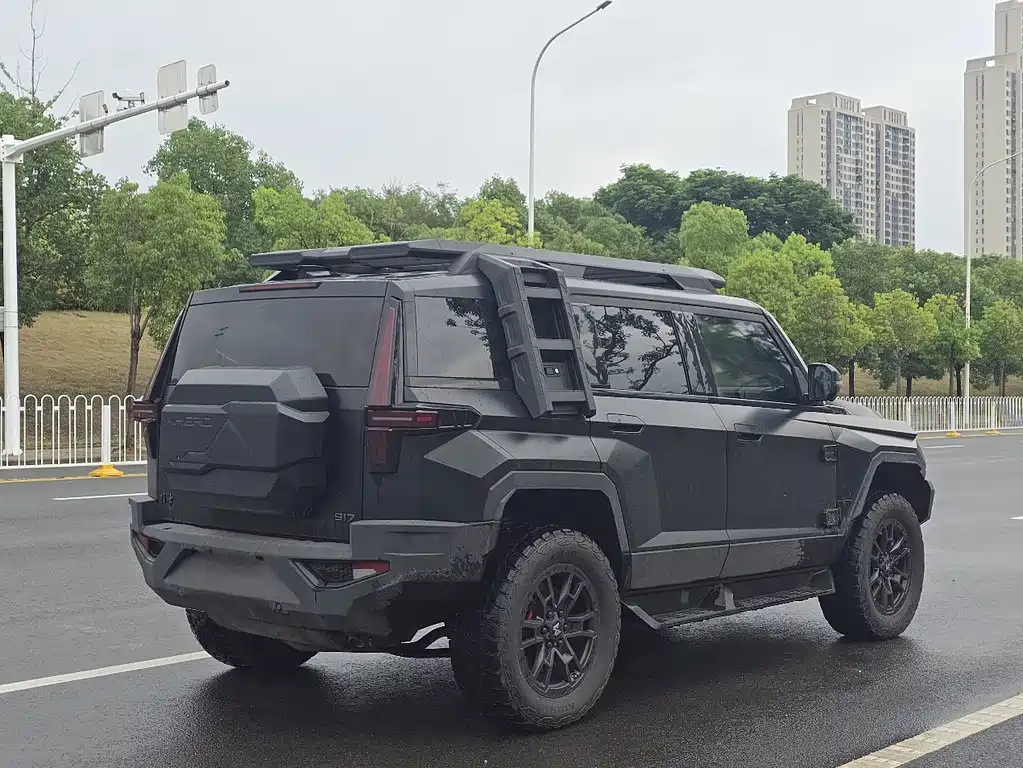 Mengshi Mengshi 917 — миниатюра 6