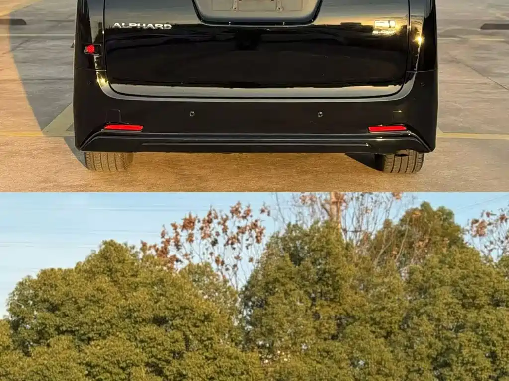 Toyota Alphard — миниатюра 9