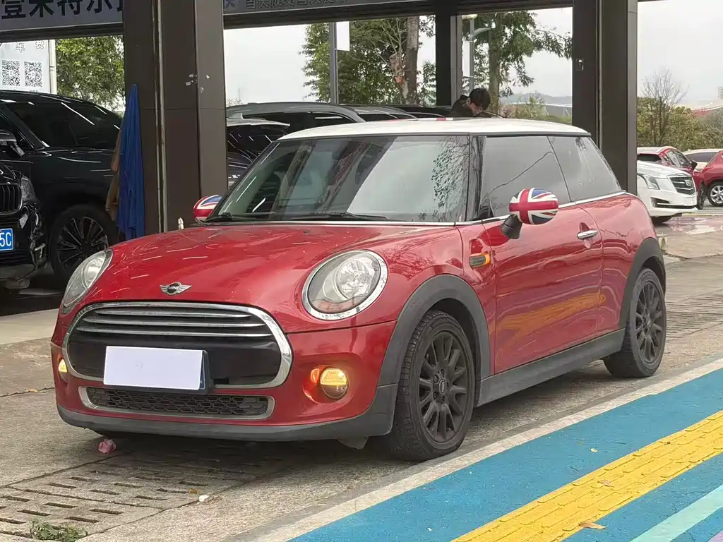 Mini Mini 2017