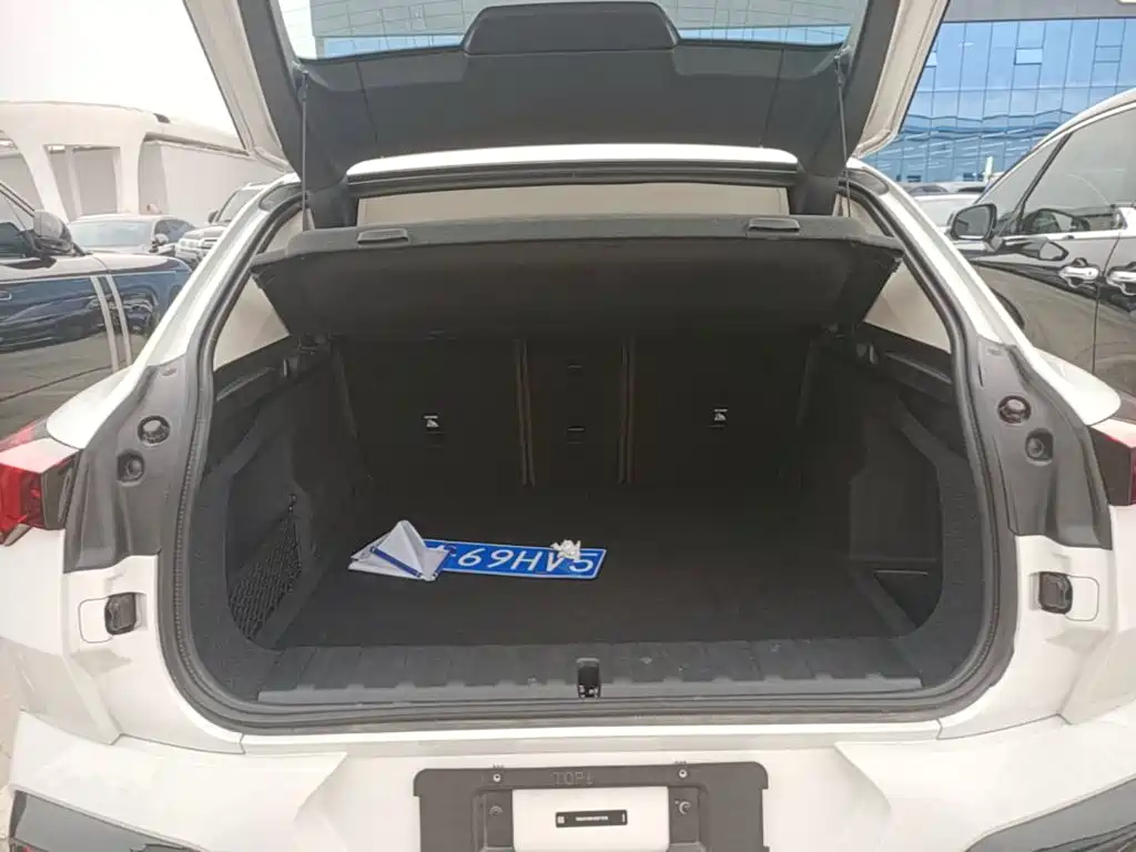 BMW X2 (Import) — миниатюра 19