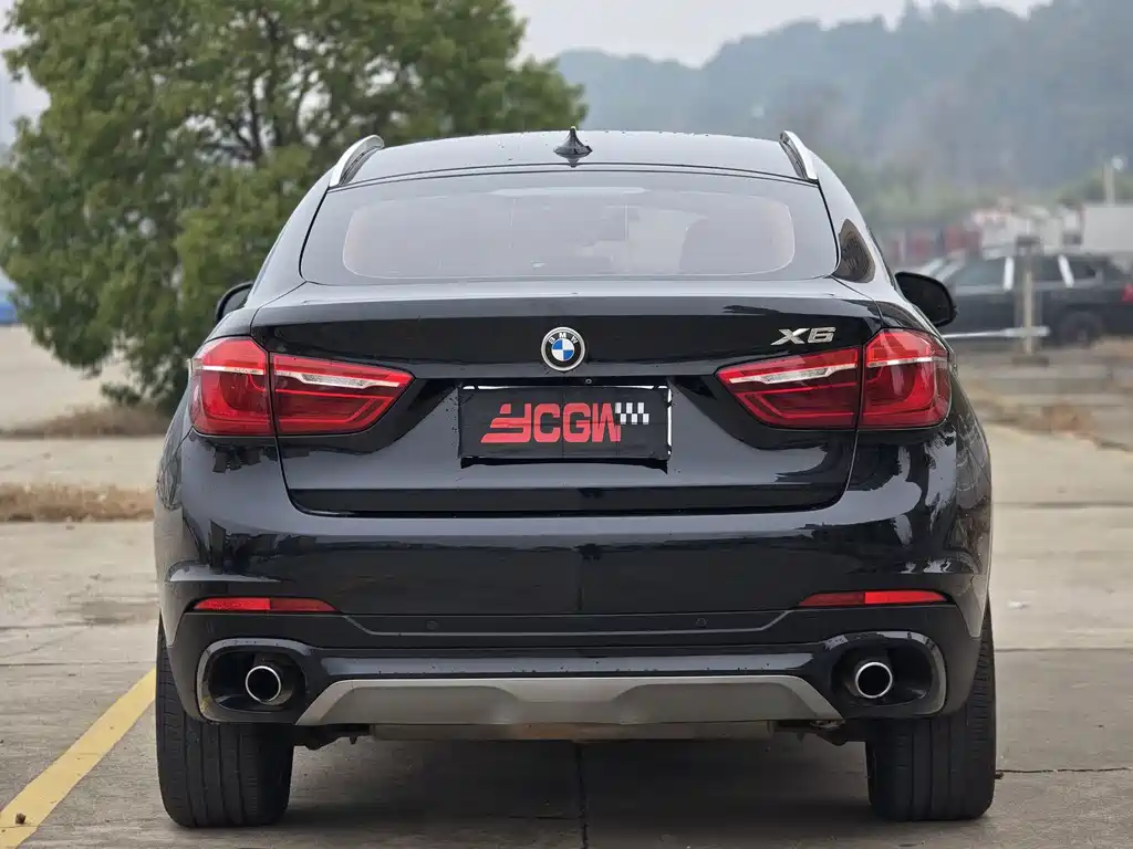 BMW X6 — миниатюра 17