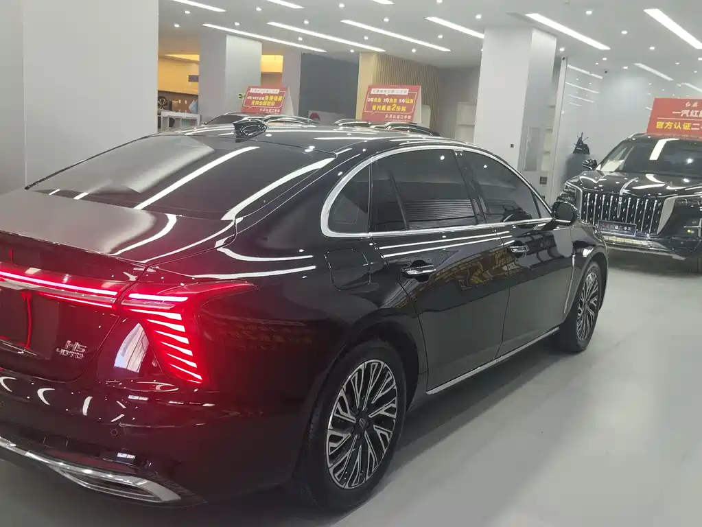 Hongqi H5 2024 2.0T AT