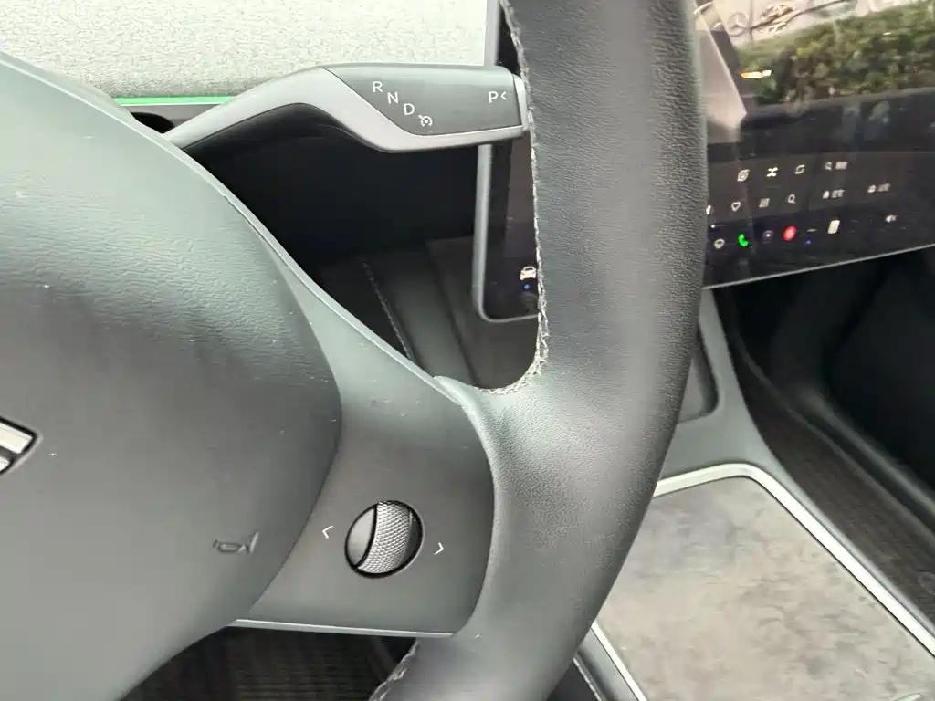 Tesla Model Y — миниатюра 10