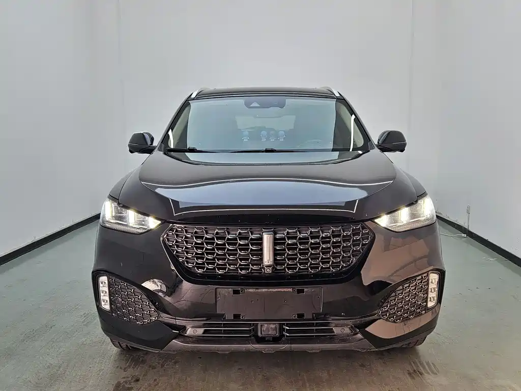 WEI PAI WEI BRAND VV6