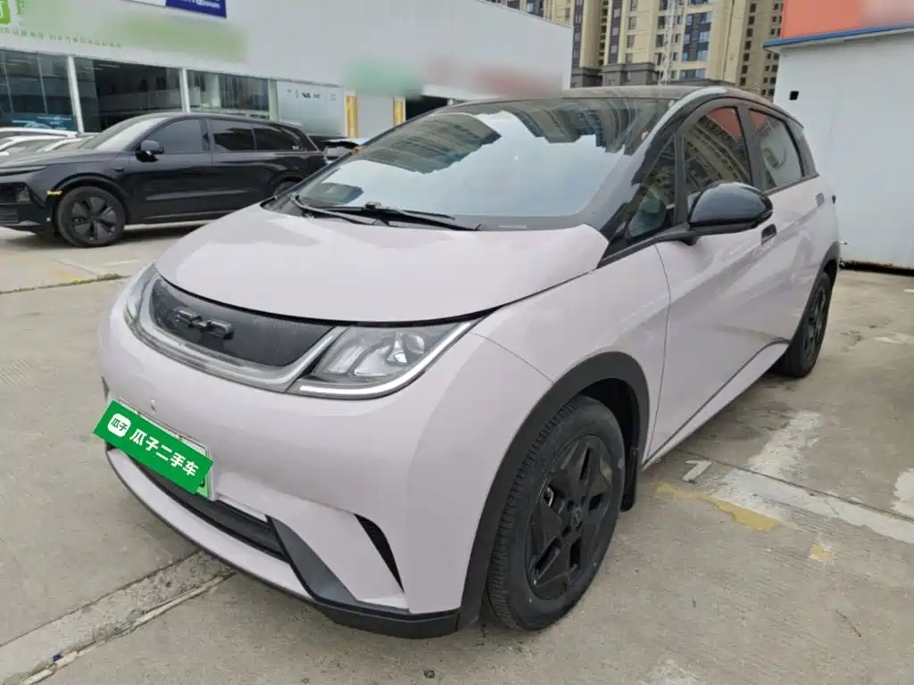 BYD Dolphin