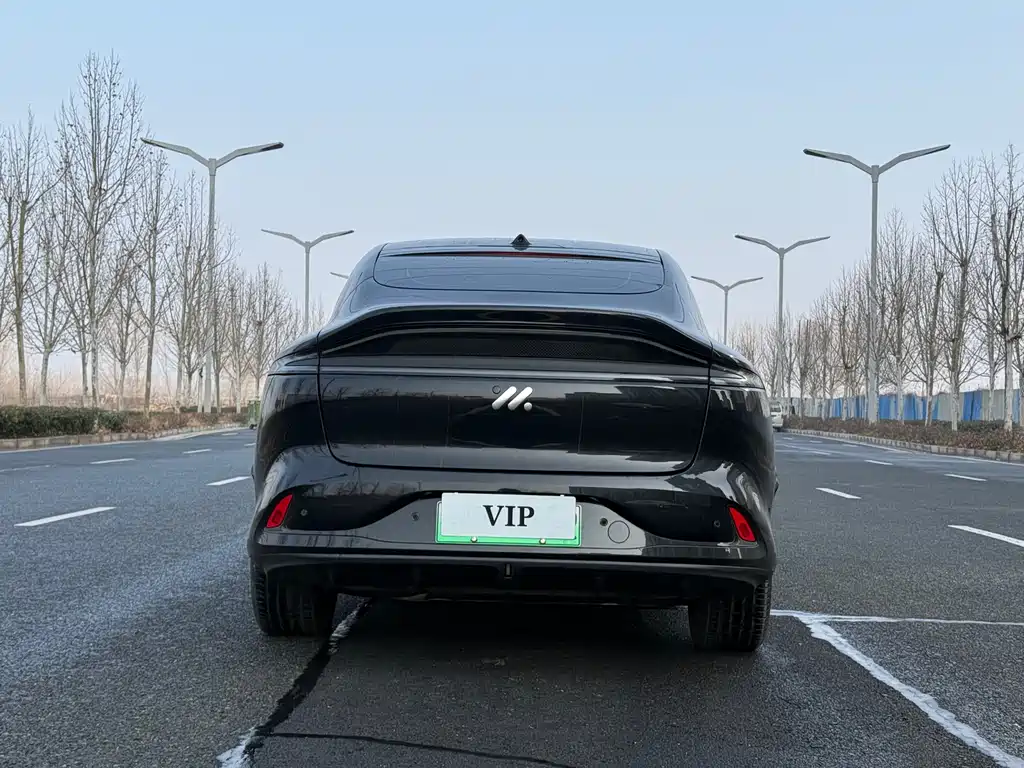 ZHIJI AUTOMOBILE ZHIJI LS6