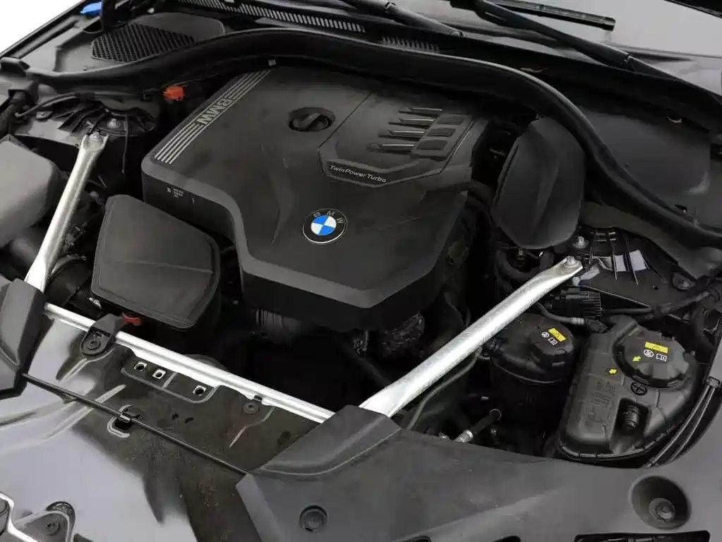 BMW 5 Series 5 2022 530Li Lead M Sport
