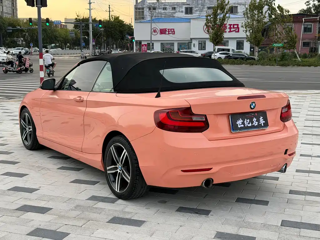 BMW 2 Series (Import) — миниатюра 9