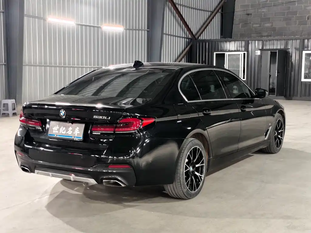 BMW 5 Series — миниатюра 9