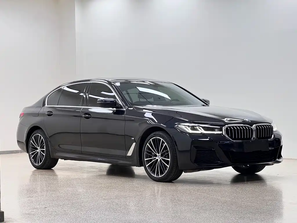 BMW 5 Series — миниатюра 3