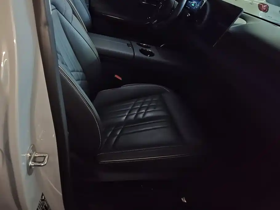 Baojun Xiangjing — миниатюра 8