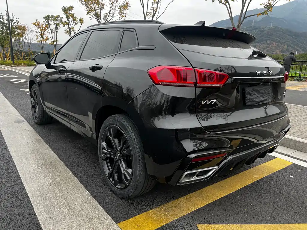 WEI PAI WEI BRAND VV7