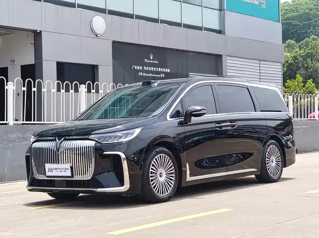 2025 Voyah Dream