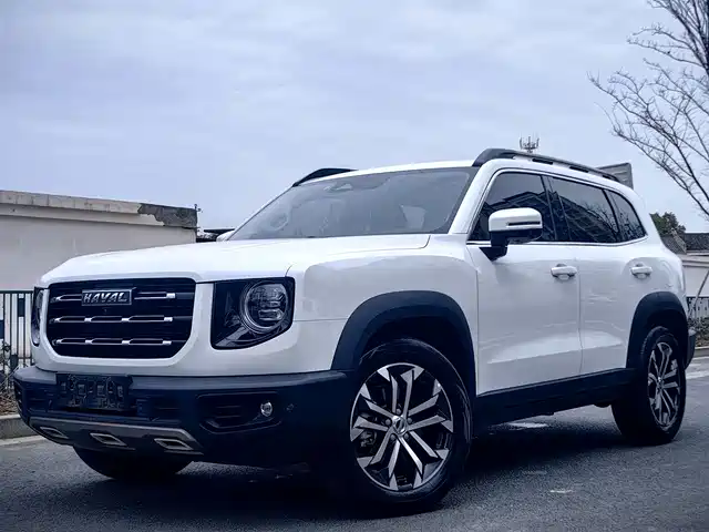 haval big-dog