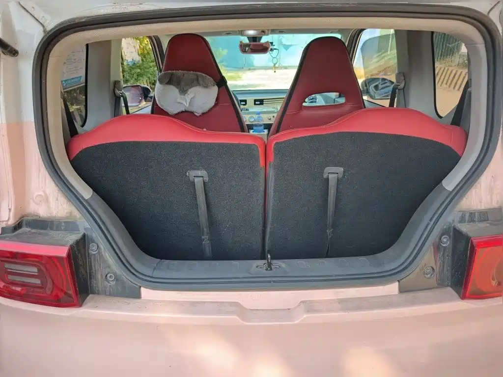 Wuling MINIEV — миниатюра 20