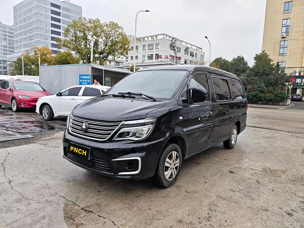 Fengxing Lingzhi 2022