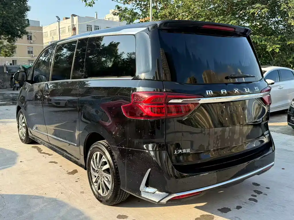 MAXUS G20 — миниатюра 10