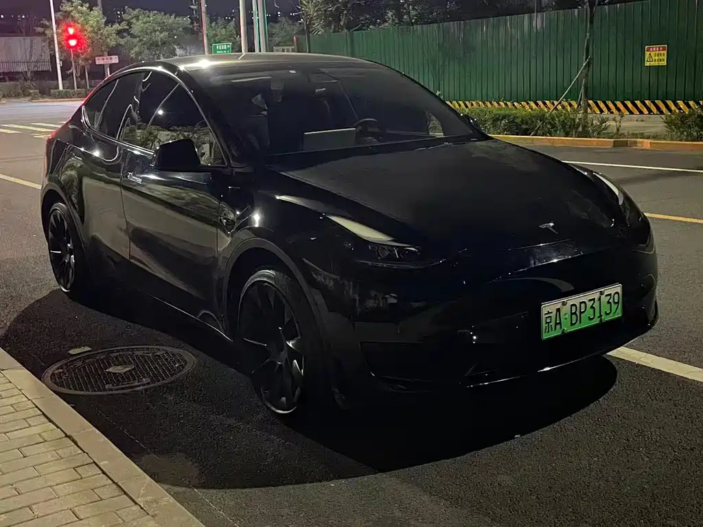 Tesla Model Y — миниатюра 2