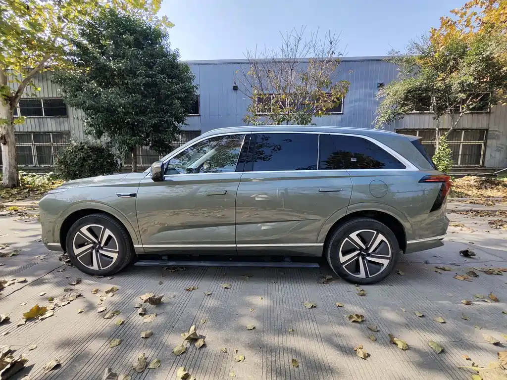 WEI PAI WEI BRAND BLUE MOUNTAIN