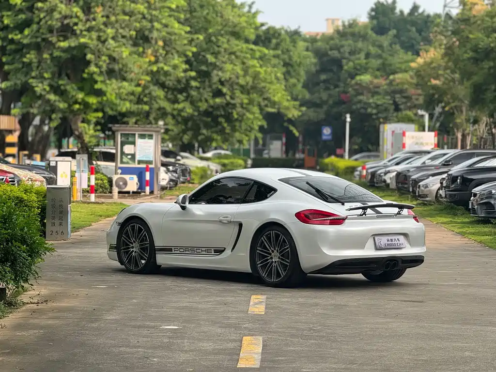 Porsche Cayman — миниатюра 6