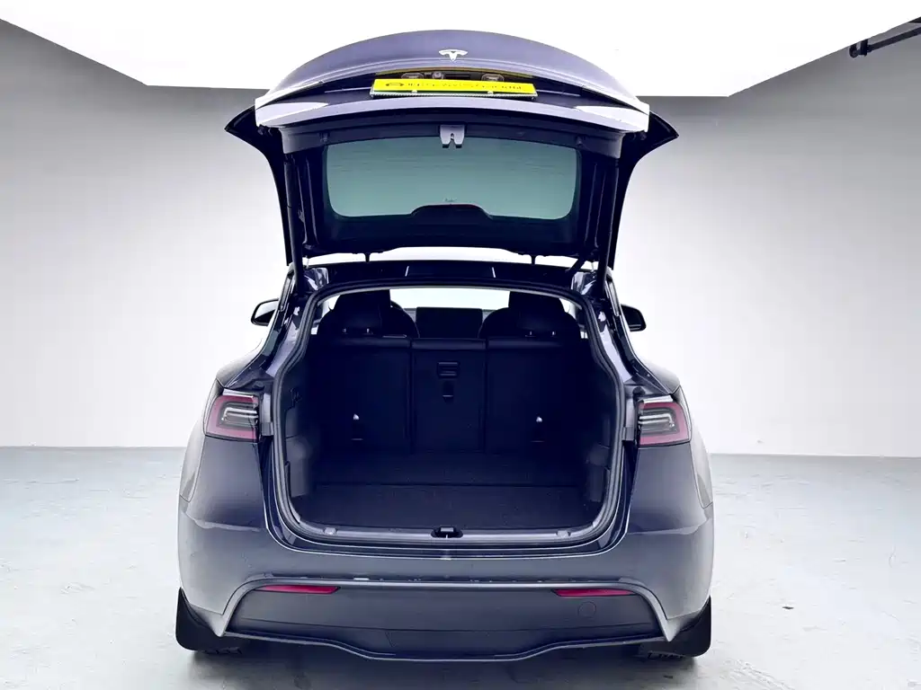 Tesla Model Y — миниатюра 19